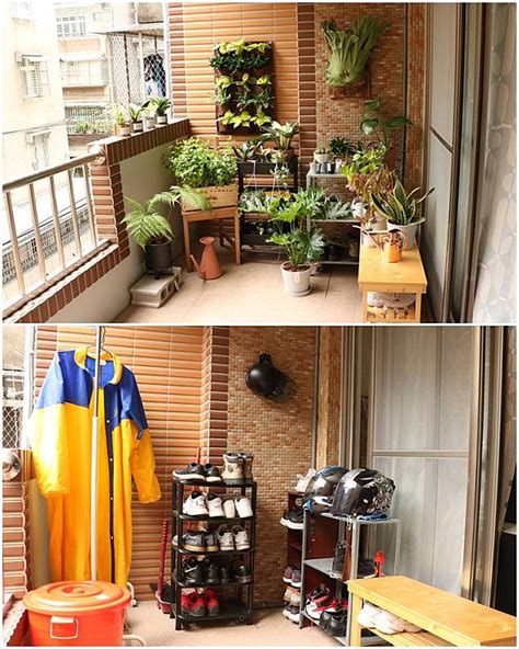 陽台佈置植物 鞋櫃上可以放什麼植物
